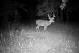 41621 County Highway 41 - Photo 59