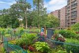 6615 Lake Shore Drive - Photo 12