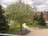 523 East Avenue - Photo 43