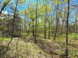 212XX Franklin Road - Photo 4