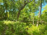 21044 County Road 75 - Photo 39