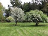 6613 County Road 125 - Photo 22