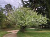 6613 County Road 125 - Photo 24