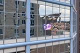 433 7th Street - Photo 5