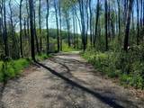4193 Brookston Rd - Photo 32