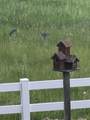 2241 County Road 39 - Photo 60