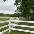 2241 County Road 39 - Photo 79