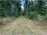 12157 Butternut Road - Photo 35