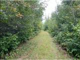 12157 Butternut Road - Photo 36