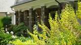 7317 Auto Club Road - Photo 5