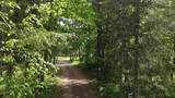 29156 State Highway 47 - Photo 29