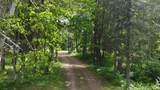 29156 State Highway 47 - Photo 5