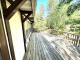 13076 Pine Vista Drive - Photo 50