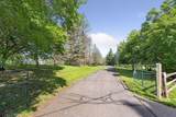 1325 Tamarack Drive - Photo 5