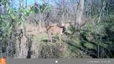 5633 Saint Mary Drive - Photo 69