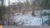 5633 Saint Mary Drive - Photo 71