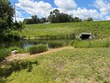 22264 County Road 43 - Photo 48