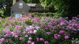 5 Walden Place - Photo 50
