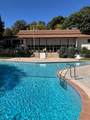 354 Elton Hills Drive - Photo 13