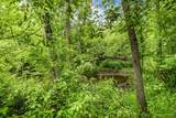 34293 County Road 4 - Photo 54