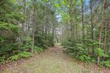51946 Wasson Lake Rd - Photo 32