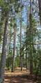 51946 Wasson Lake Rd - Photo 37