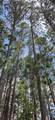 51946 Wasson Lake Rd - Photo 39