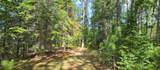 51946 Wasson Lake Rd - Photo 41