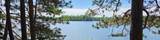 51946 Wasson Lake Rd - Photo 50