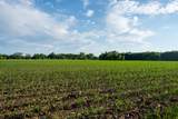 1593 Pine Cone Road - Photo 18
