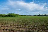 1593 Pine Cone Road - Photo 19