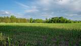 1593 Pine Cone Road - Photo 20