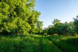 1593 Pine Cone Road - Photo 32