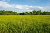 1593 Pine Cone Road - Photo 40