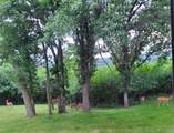 3906 Silver Creek Road - Photo 44