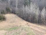 3927 Stone Point Drive - Photo 43