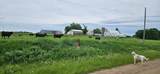 33598 State 28 - Photo 31