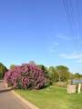 3309 Carnation Avenue - Photo 33