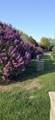 3309 Carnation Avenue - Photo 34