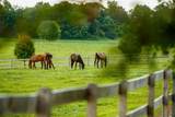 9685 County Road 13 - Photo 211