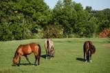 9685 County Road 13 - Photo 216