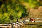 9685 County Road 13 - Photo 223