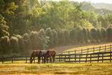 9685 County Road 13 - Photo 227