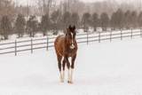 9685 County Road 13 - Photo 228