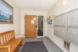 101 Albion Avenue - Photo 2