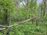 TBD Crust Road - Photo 28