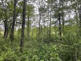 TBD Crust Road - Photo 3