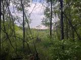 TBD Crust Road - Photo 35