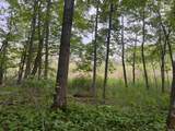 TBD Crust Road - Photo 37