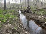 TBD Crust Road - Photo 5
